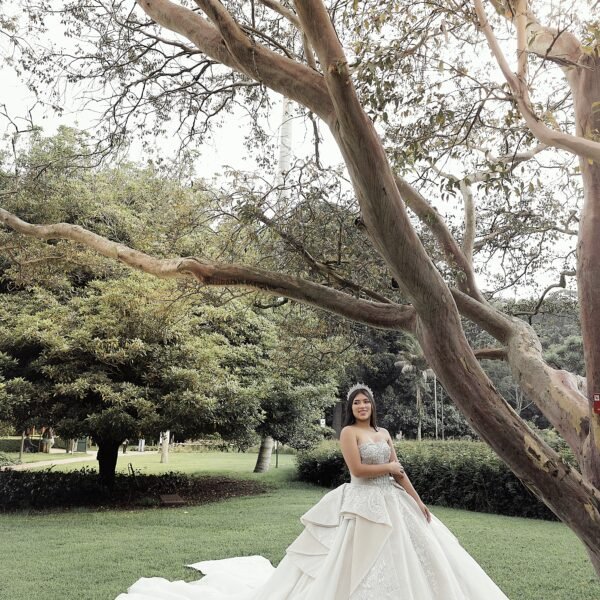 19112024-3F1A8277-Exposure